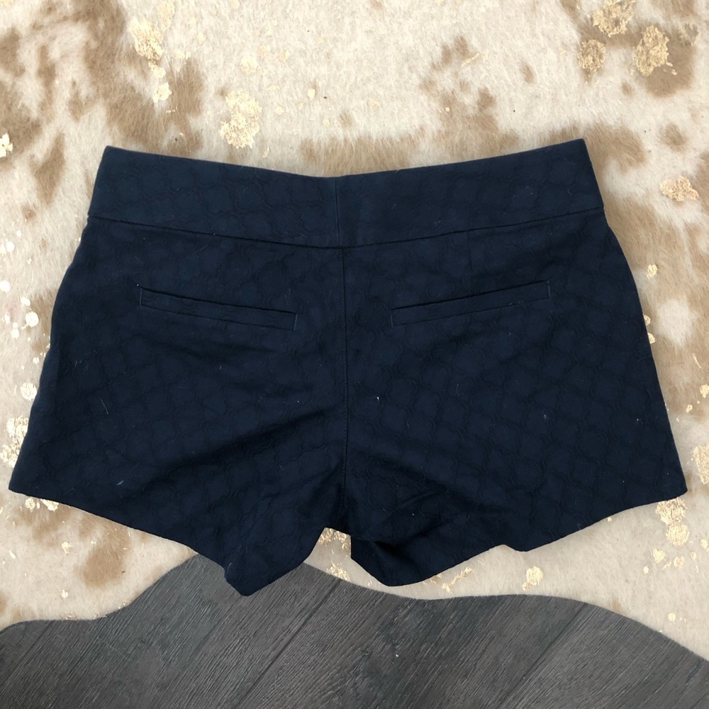 Lilly P. Shorts ONLY WORN ONCE
